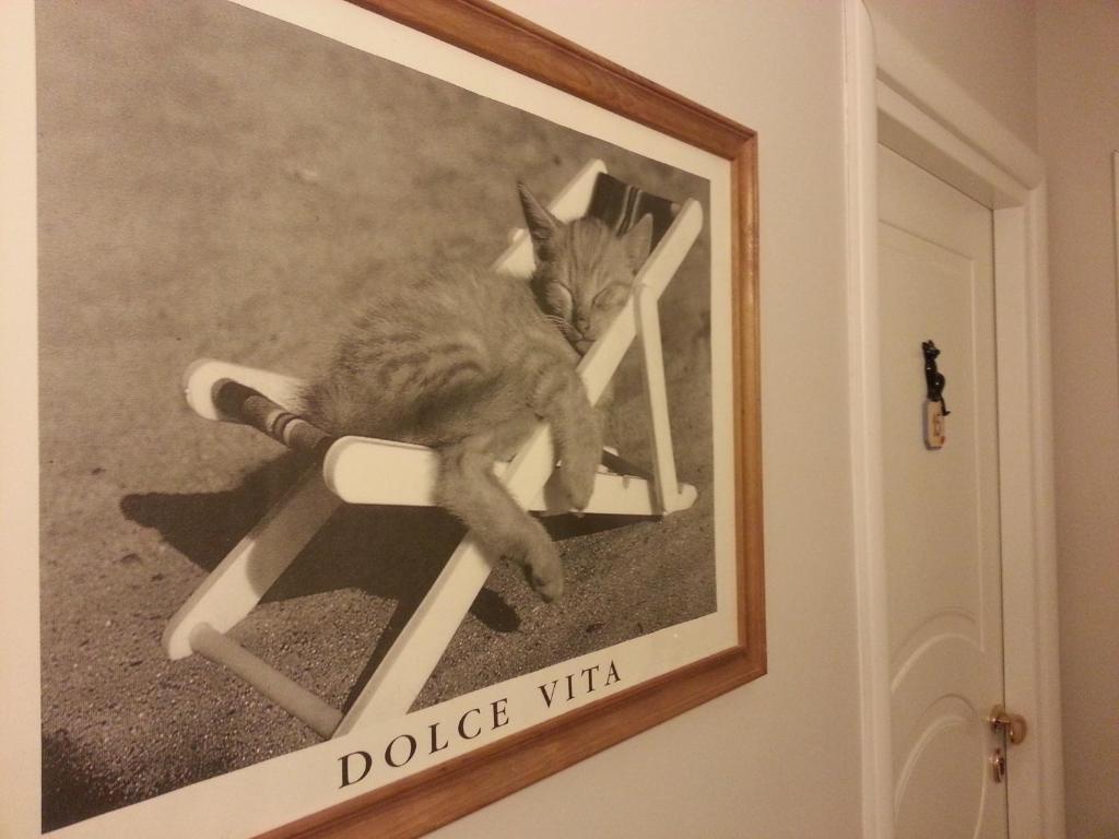 Hotel Il Gatto راباللو المظهر الخارجي الصورة