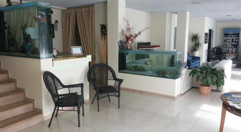Hotel Il Gatto راباللو المظهر الخارجي الصورة